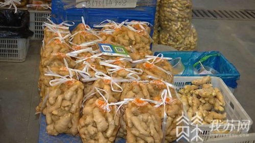 蔥姜價格上揚與肉水產(chǎn)價格回落 農(nóng)副產(chǎn)品市場銷售動態(tài)分析